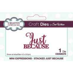 Creative Expressions - Mini Expressions - Just Because