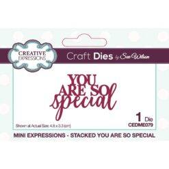 Creative Expressions Dies - Mini Expression- You are so special